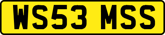 WS53MSS