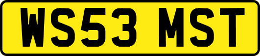WS53MST