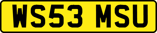 WS53MSU