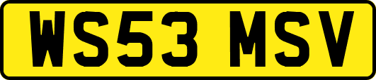 WS53MSV