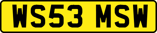 WS53MSW