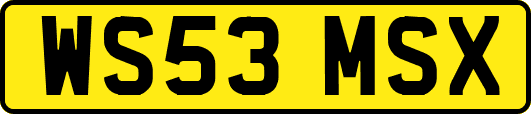WS53MSX