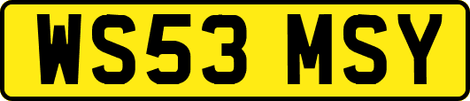 WS53MSY