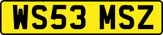 WS53MSZ