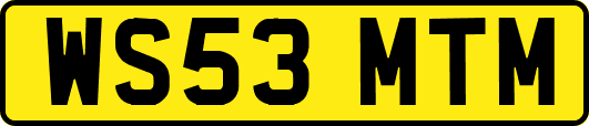 WS53MTM
