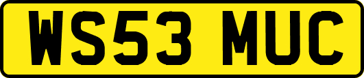 WS53MUC