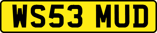 WS53MUD