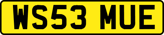 WS53MUE
