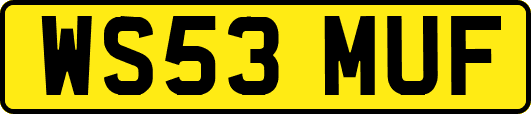 WS53MUF