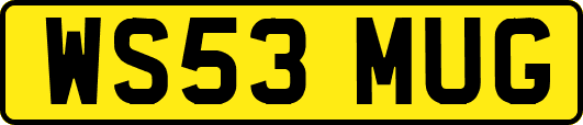 WS53MUG
