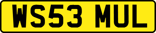 WS53MUL