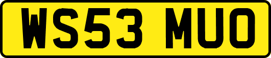 WS53MUO