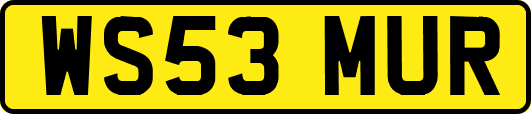 WS53MUR
