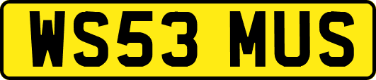 WS53MUS