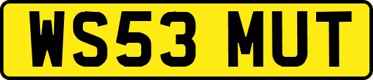 WS53MUT