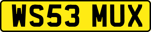 WS53MUX