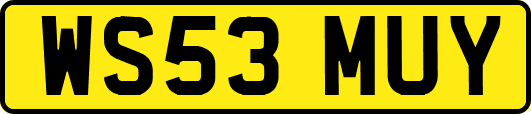WS53MUY