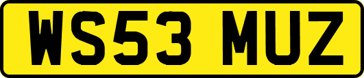 WS53MUZ