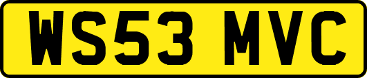 WS53MVC