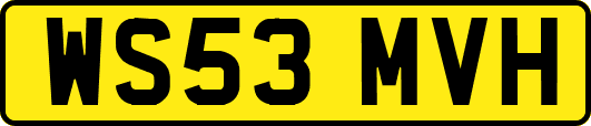 WS53MVH