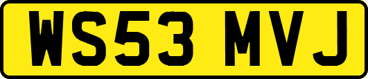 WS53MVJ