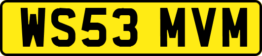 WS53MVM