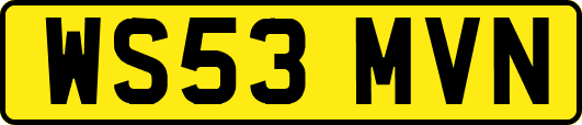 WS53MVN
