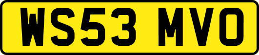 WS53MVO