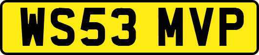 WS53MVP