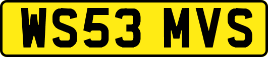 WS53MVS