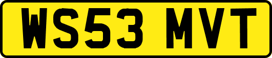 WS53MVT