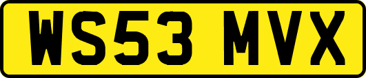WS53MVX