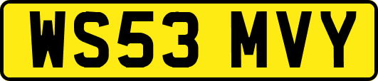 WS53MVY