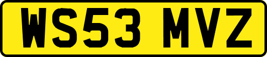 WS53MVZ