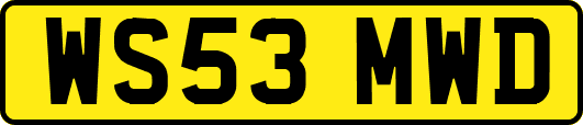 WS53MWD