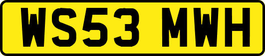 WS53MWH