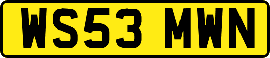 WS53MWN