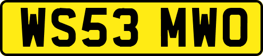 WS53MWO