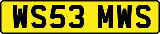 WS53MWS