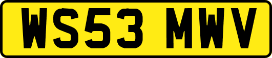WS53MWV