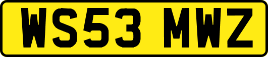 WS53MWZ