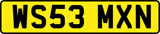 WS53MXN
