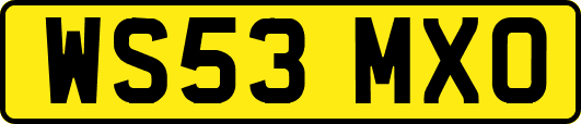 WS53MXO