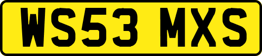 WS53MXS