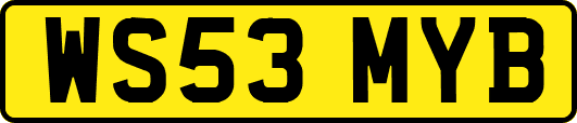 WS53MYB