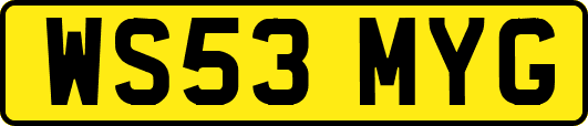 WS53MYG