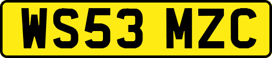 WS53MZC