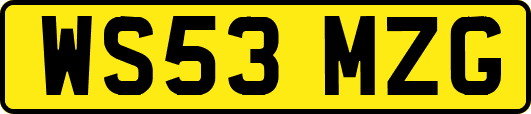 WS53MZG
