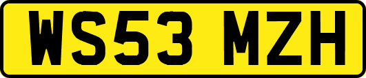 WS53MZH