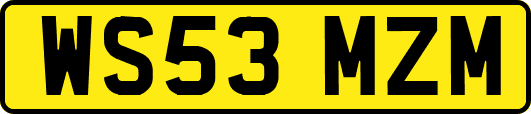 WS53MZM